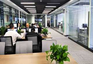 随州316不锈钢T型条批发