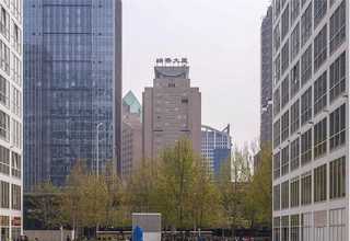 介绍树苗种植时间