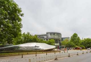 盆栽植物出租上门维护